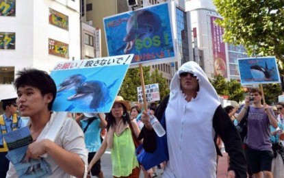 dolphin-demonstration